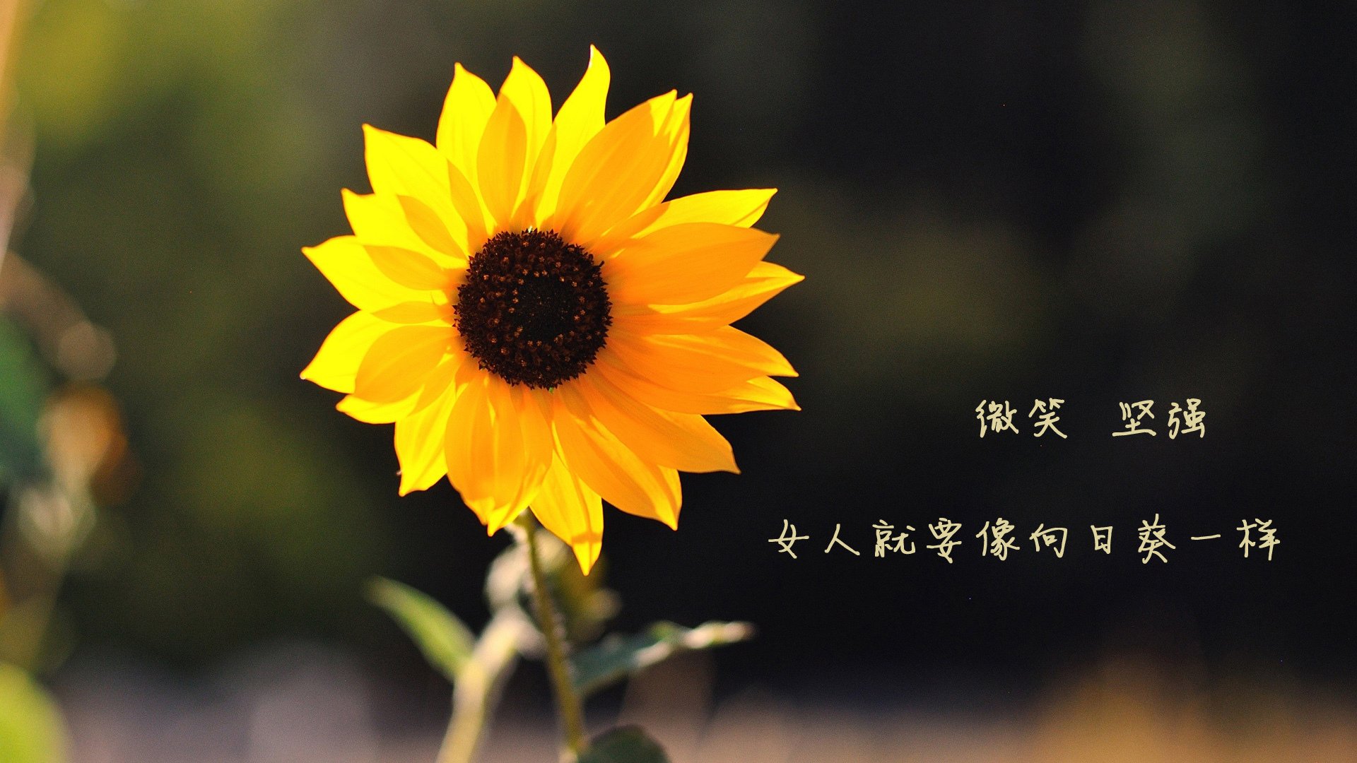 法甲球员视觉追踪训练促进战术执行精准度